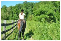 Teen Summer Horseback Riding Programs