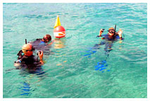 Group Teen Summer Scuba Diving Programs