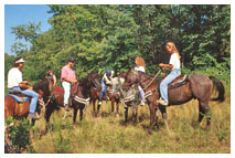 Teen Summer Horseback Riding Programs