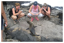 Teen Summer Marine Biology Programs