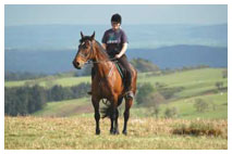 Teen Summer Horseback Riding Programs